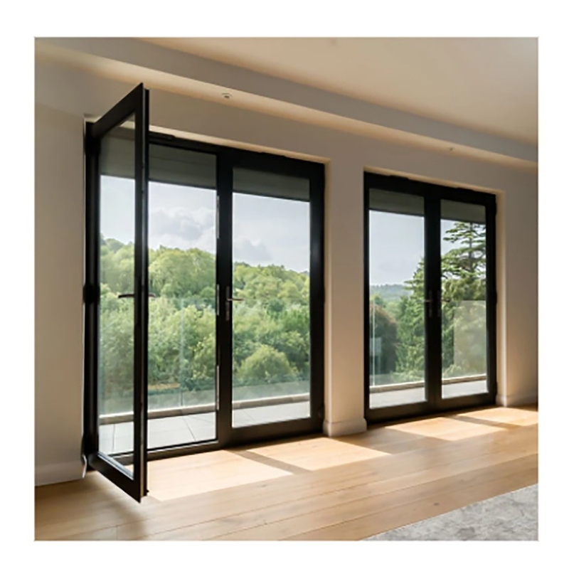 10 Versiegelungsschichten Skate Exterior Französisch Thermal Break Casement Türen mit Aluminiumrahmen