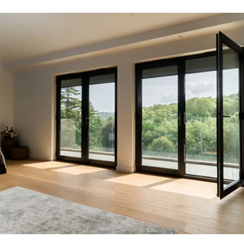 10 Versiegelungsschichten Skate Exterior Französisch Thermal Break Casement Türen mit Aluminiumrahmen